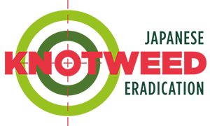 japanese-knotweed-logo
