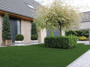 Tree and hedges with artificial grass