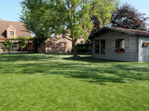 Artificial grass with grey shed and large tree