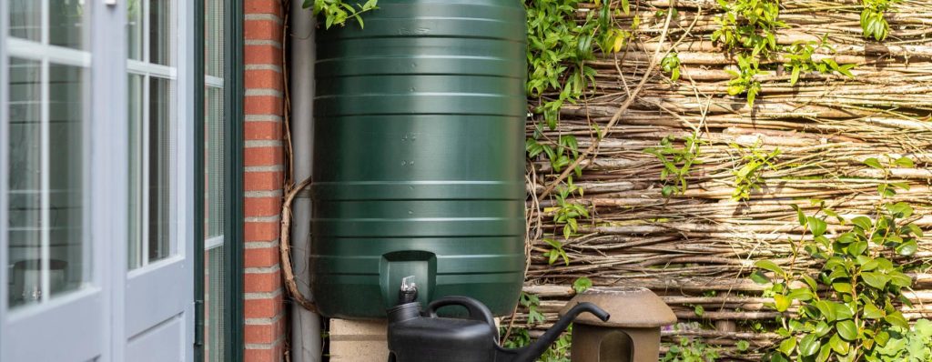 A guide to harvesting rain for greener gardens