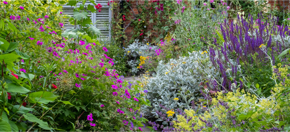 Stunning mix of flowers along a cottage garden path