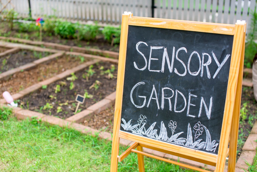 Sensory Garden Guide - Design, Planting Tips, and Plant Recommendations