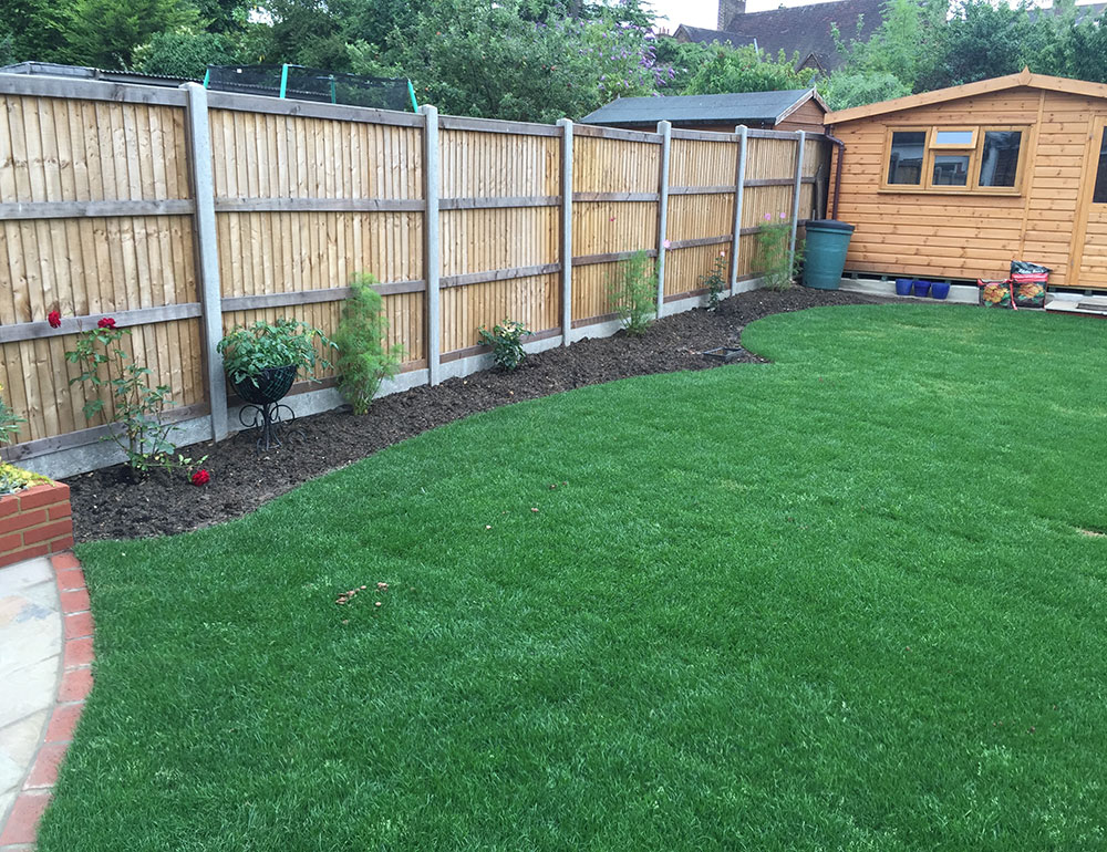 Lawn-care-and-treatment-Dulwich