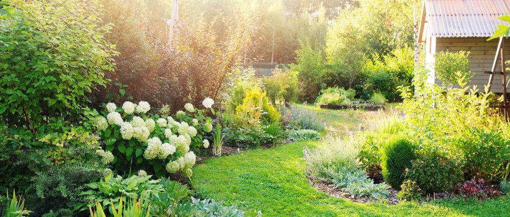 The Essential Principles Of Garden Design