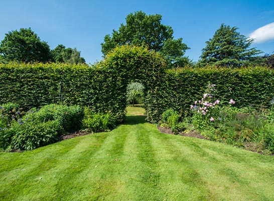 Terra Firma Landscapes - Lawn care and treatments